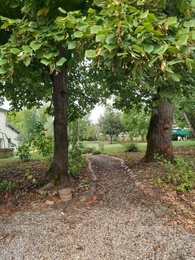 O Nature Cheris Mes Voeux Avant Qu'Ils S'Enfuient Francescas Eksteriør billede