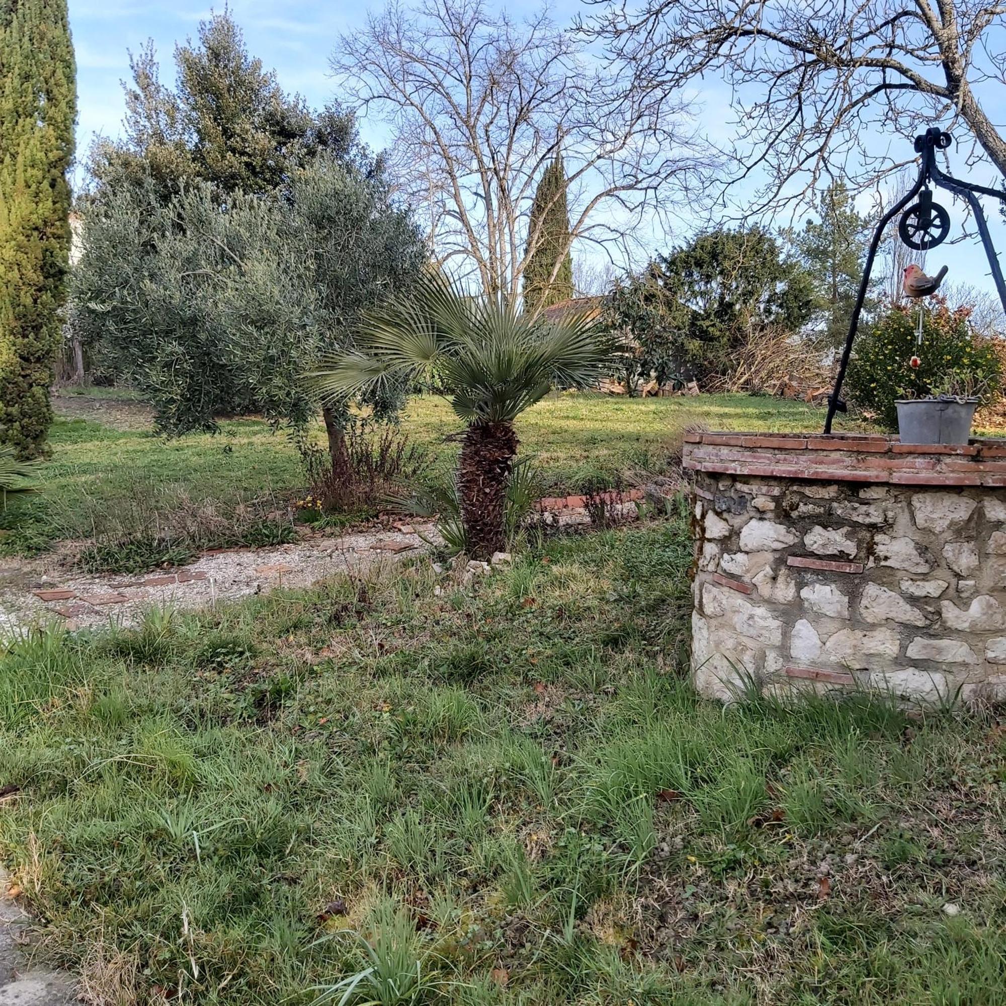 O Nature Cheris Mes Voeux Avant Qu'Ils S'Enfuient Francescas Eksteriør billede